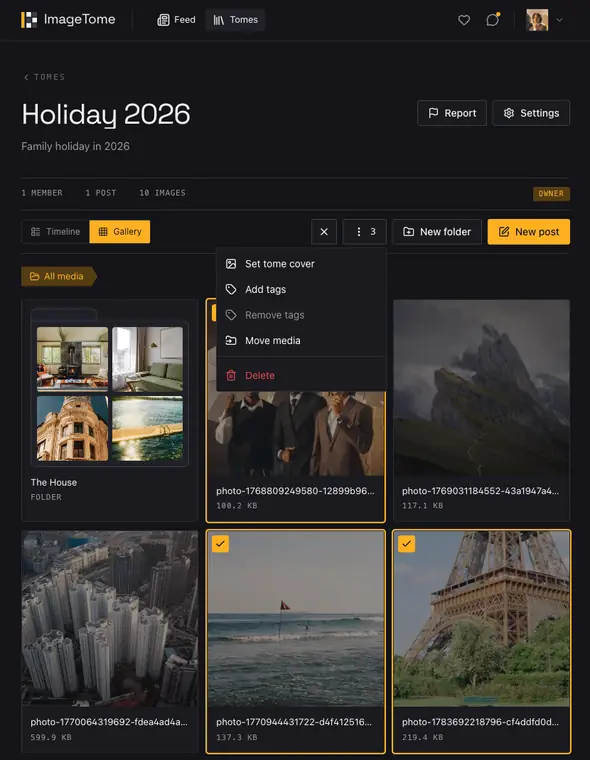 Act on a selection in ImageTome, dark theme