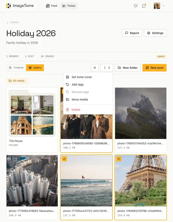 Act on a selection in ImageTome, light theme